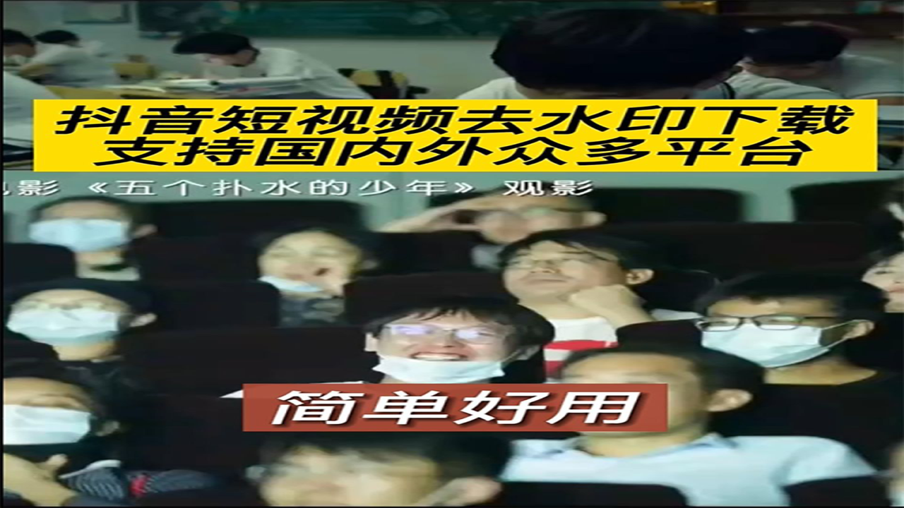 无水印下载神器抖音版 高清视频批量保存操作界面展示