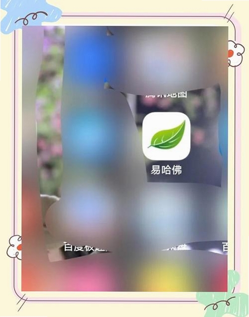 易哈佛运行截图