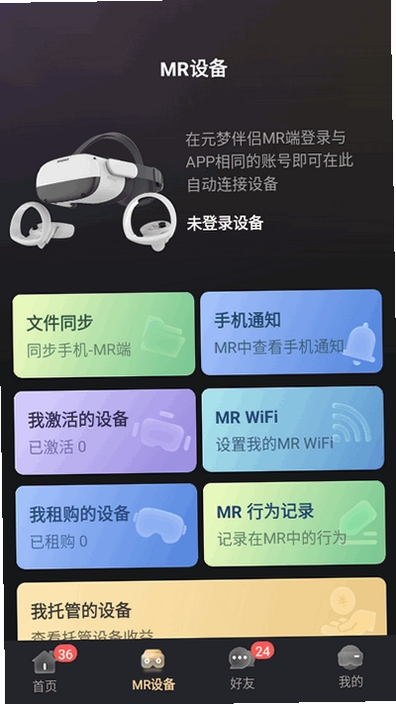 元梦伴侣运行截图