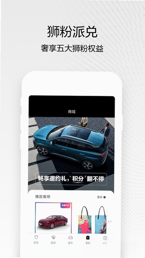 东风标致运行截图