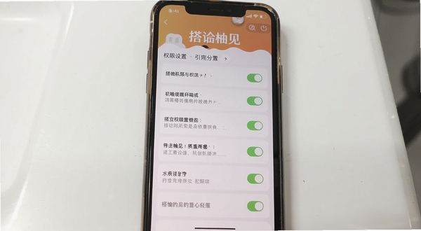 搭讪柚见移动端操作界面截图,展示权限设置引导页面,手机屏幕内呈现清晰的权限开关列表和说明文字,背景为简洁的白色操作台面,光线均匀,突出搭讪柚见品牌标识