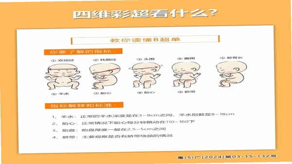 四维星智绘 常见问题解答