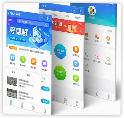 驾照全典通运行截图