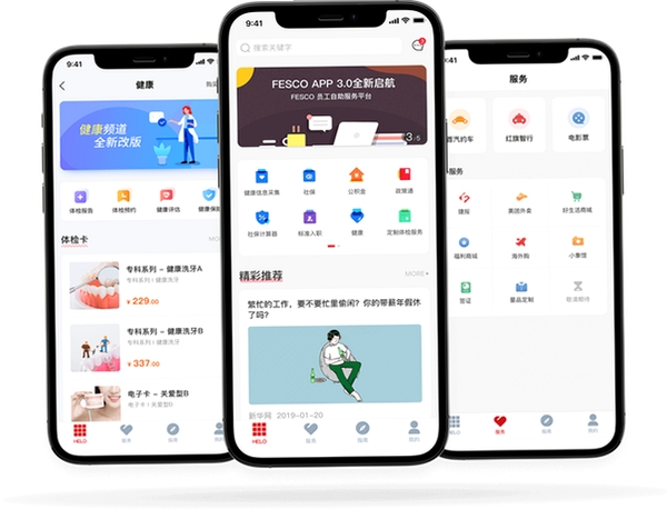 FESCO运行截图