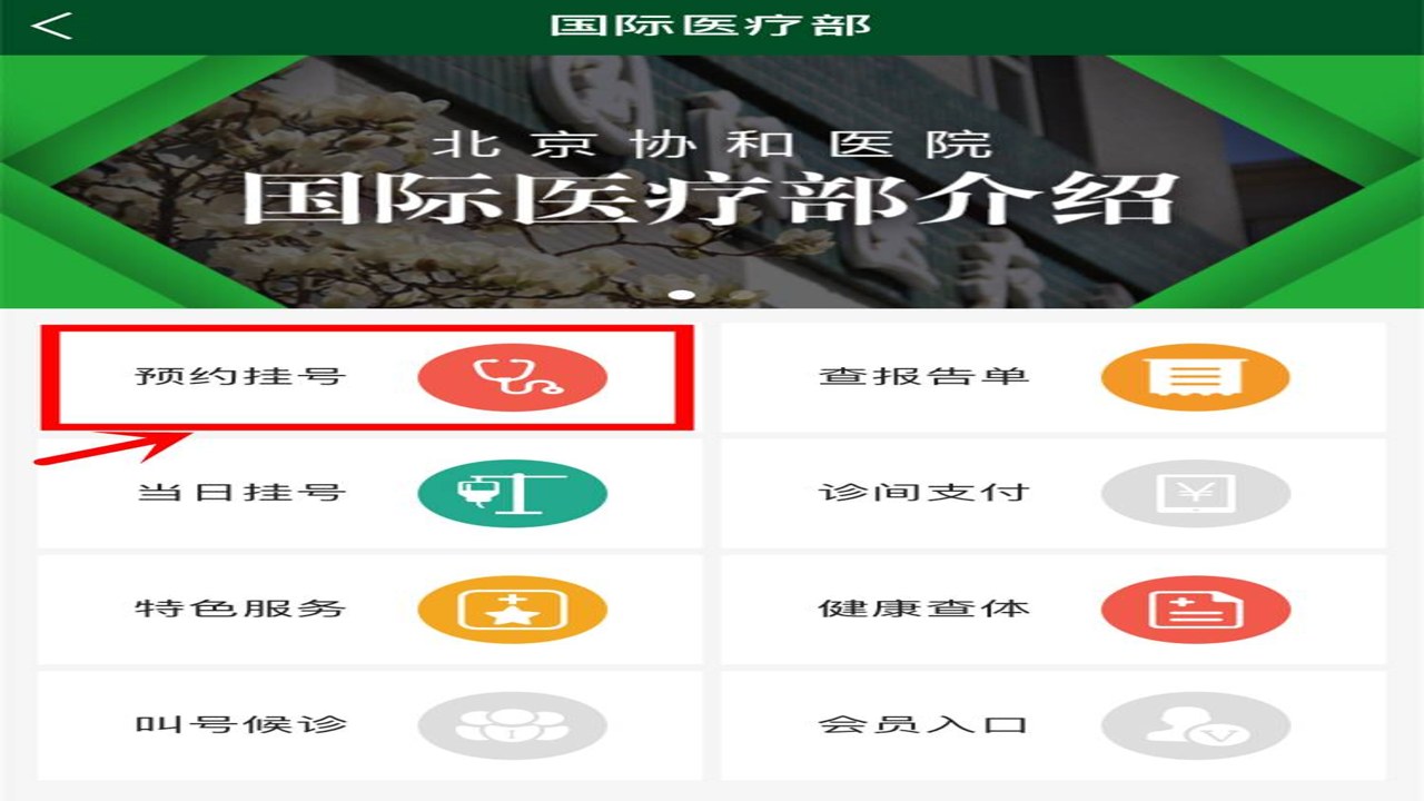 北京协和医院官方预约渠道与放号时间解析