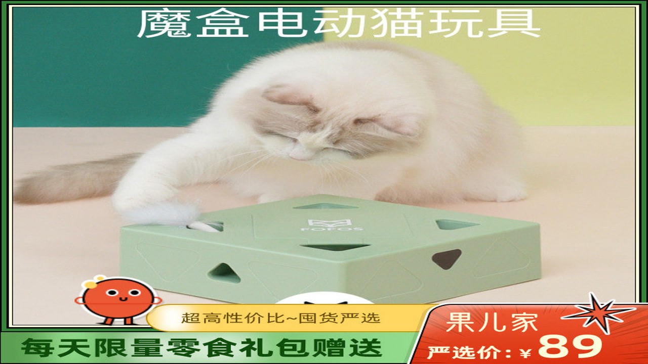 小猫爱车 狩猎本能 扑咬 室内互动