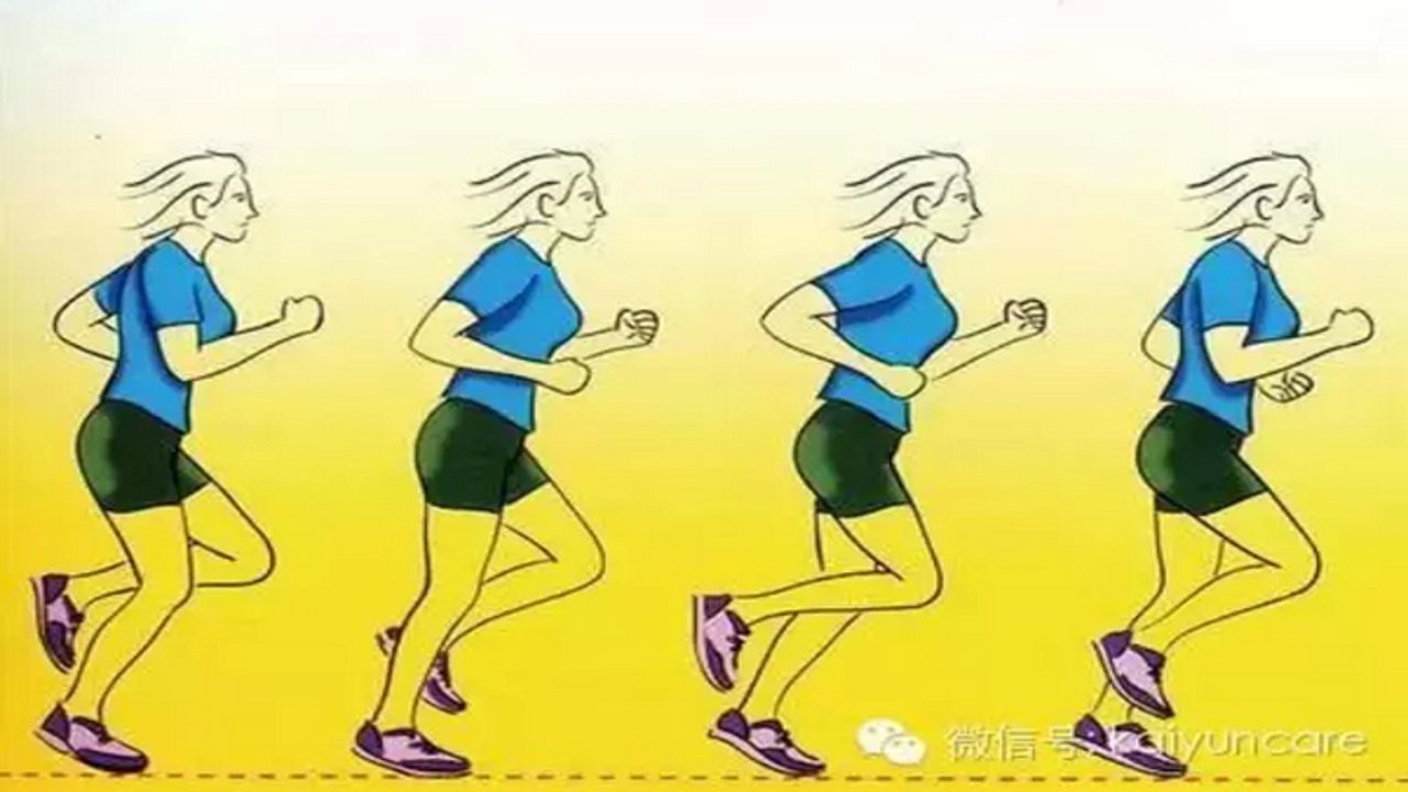 智因运动新手入门动作分解图解