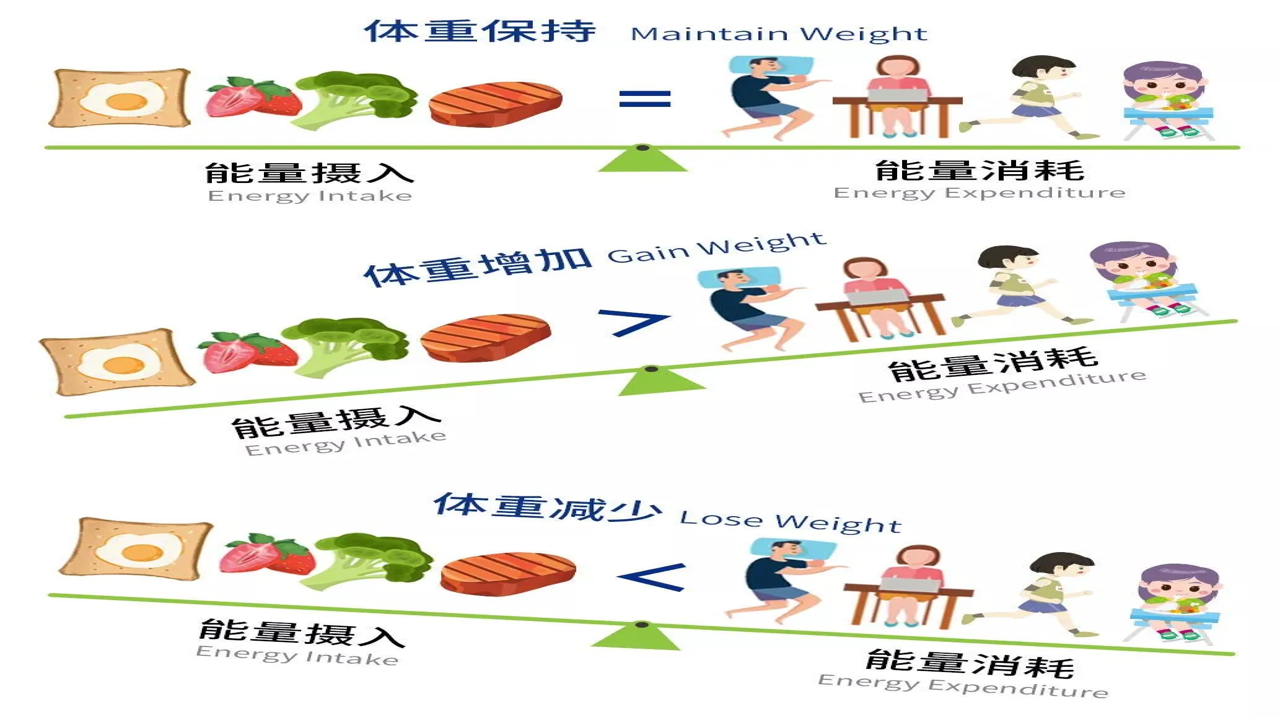 减乎第二阶段体重变化与饮食适应