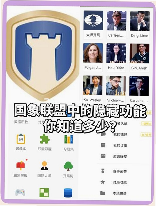 国象联盟运行截图