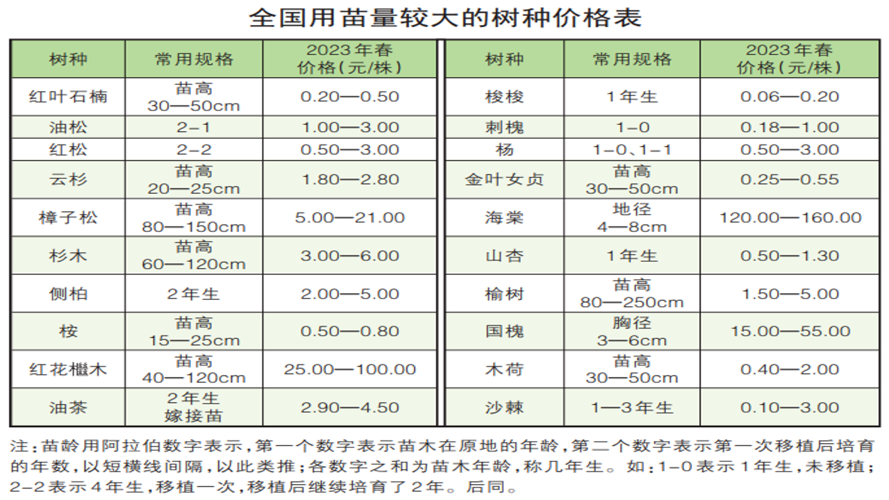 2024年购苗木靠谱基地源头直供价格表大全