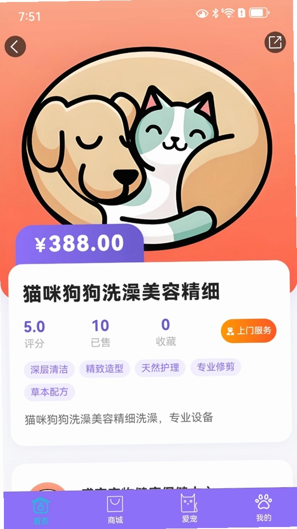 宠星运行截图