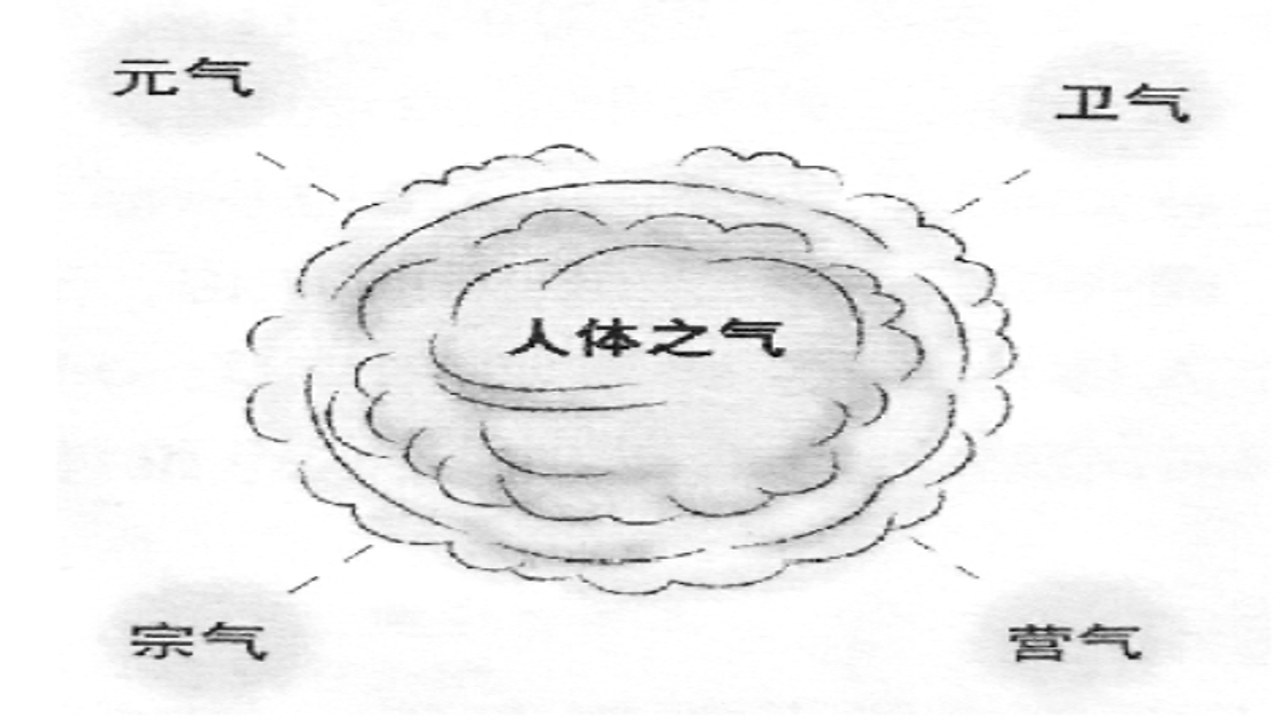 正气养生的核心概念与日常生活方式示意图