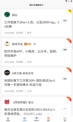 项目大师运行截图