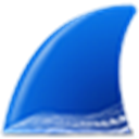 Wi-reshark 4.7.11中文最新版Windows版