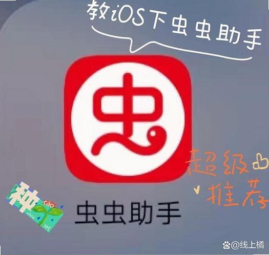 虫虫运行截图