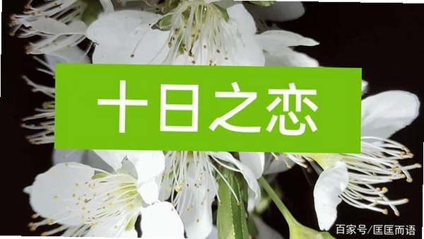 十日恋运行截图