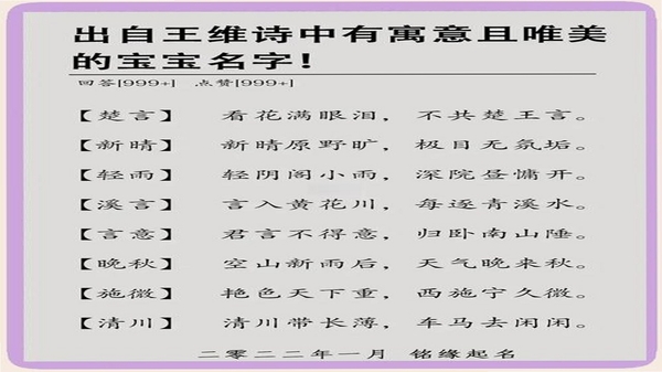 宝宝好名通 诗词取名 出处解析 功能展示