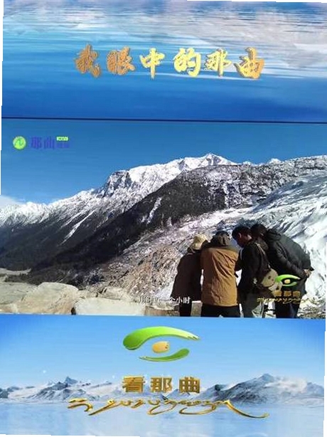 那曲融媒运行截图