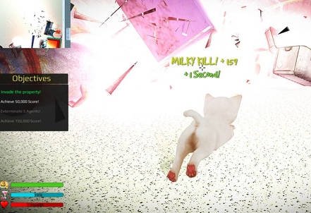 小猫的狂暴 pc最新版运行截图