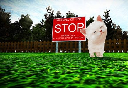 小猫的狂暴 pc最新版运行截图