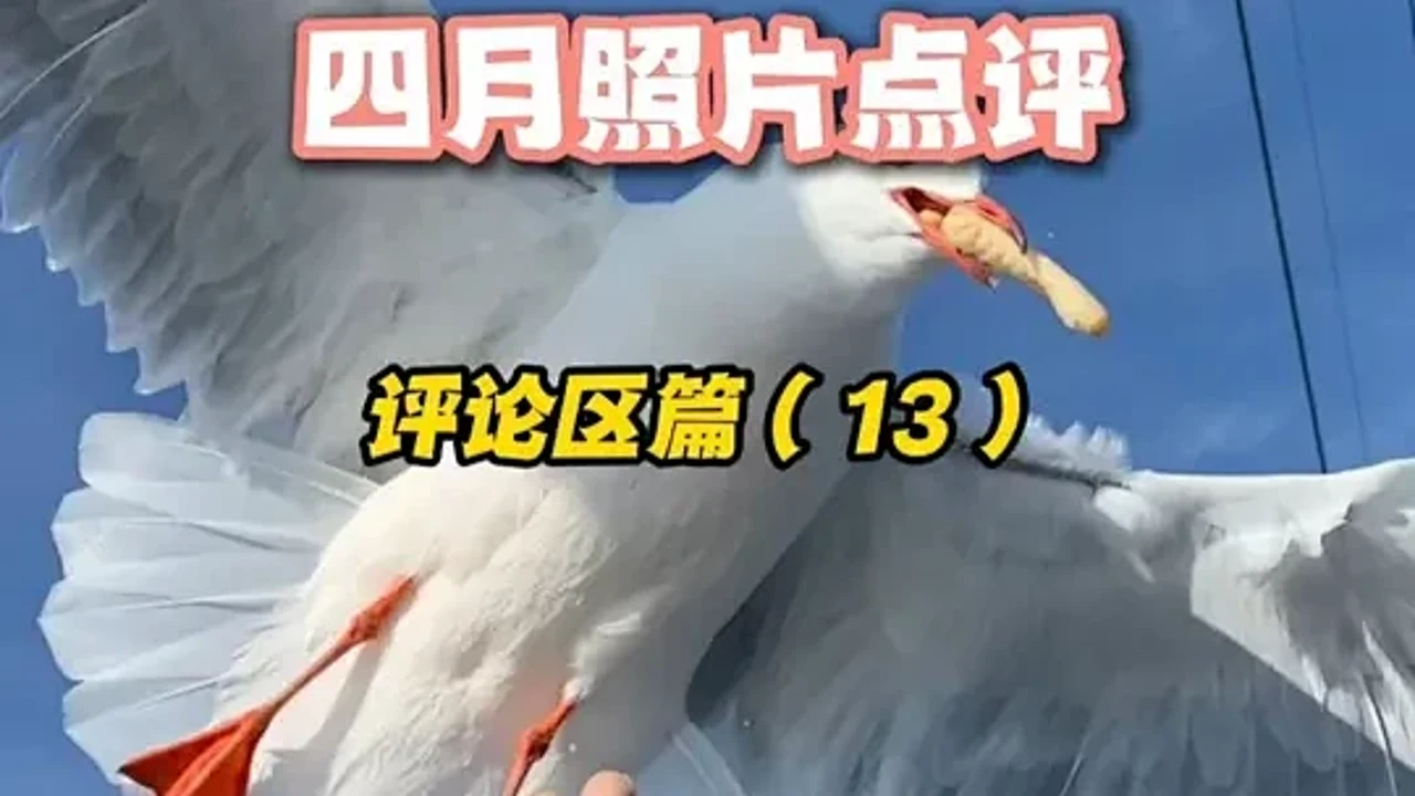吉星相映 误区解析 真实案例分享