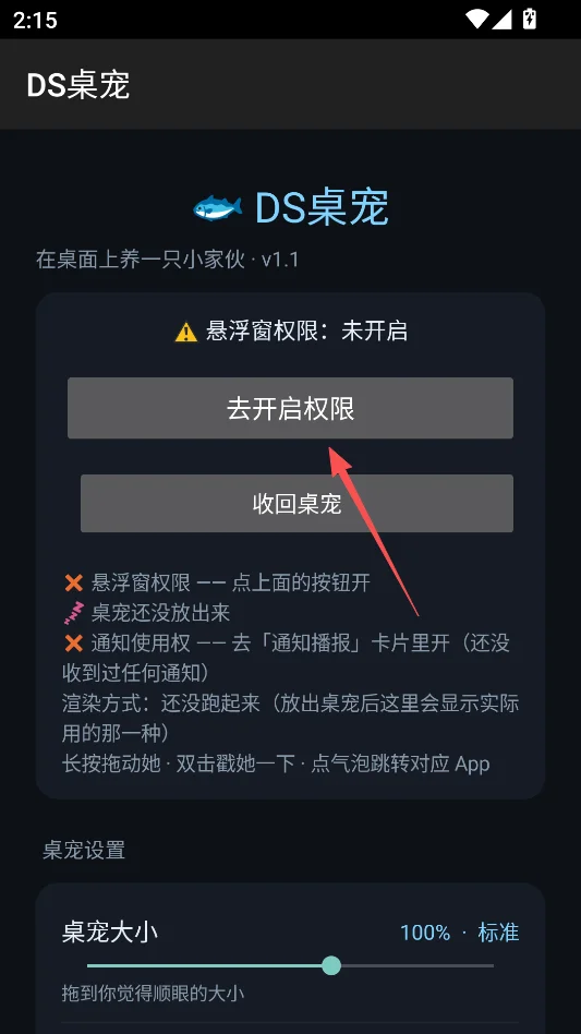 DS桌宠中文版运行截图
