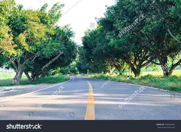 乡村道路(Rural Roads)运行截图