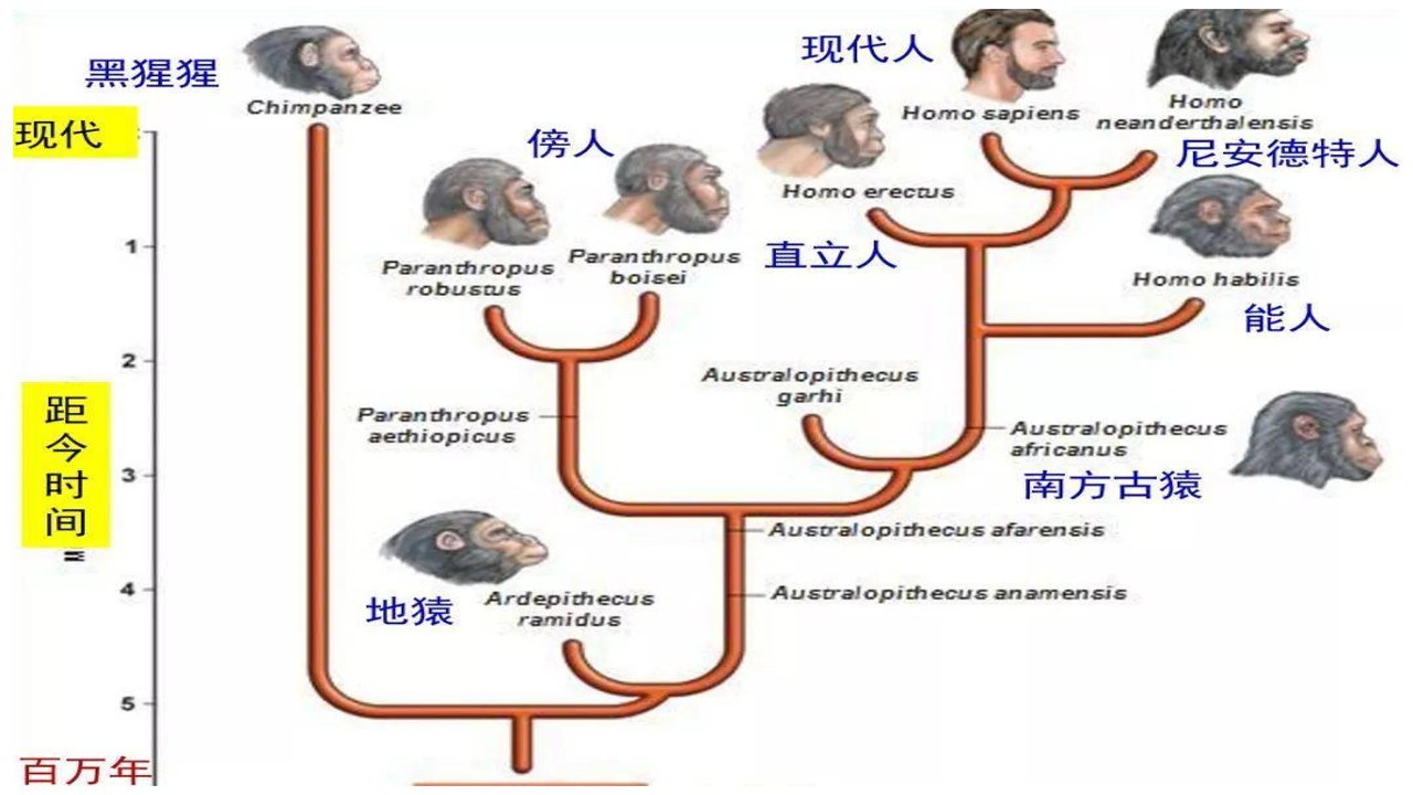 进化物种(Evolution of Species) 基因编辑技术图解与达尔文理论对比概念图