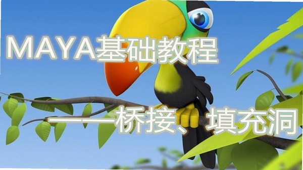 零洞 使用教程 设置界面