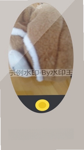 水印王运行截图