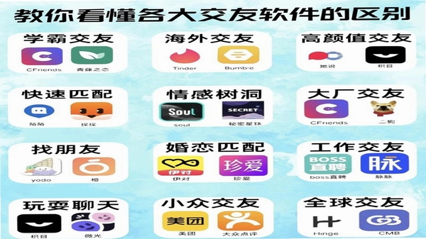同桌语伴 同类软件对比