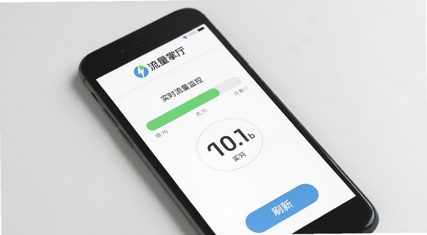 流量掌厅 实时流量监控界面 手机屏幕显示流量进度条和数字 背景为白色 顶部有流量掌厅logo 底部有刷新按钮 界面简洁清新