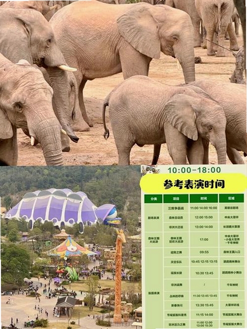 长隆旅游运行截图