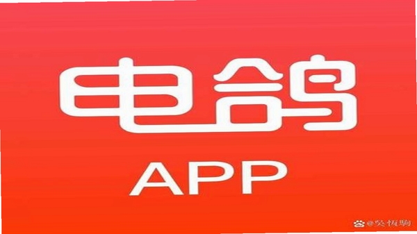 电鸽同类软件对比