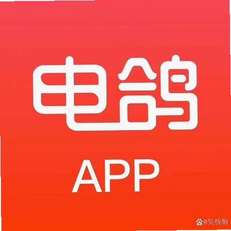 电鸽运行截图