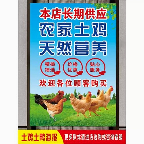 电鸽运行截图