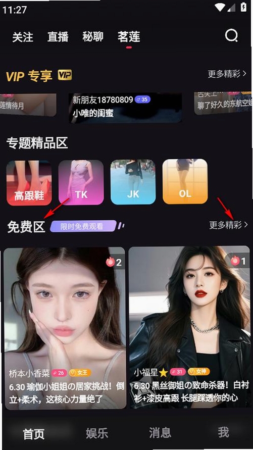 电鸽运行截图