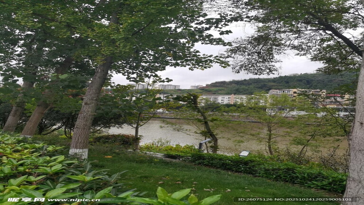 看秀洲全景风景照 包含河流与绿树 用于文章首图