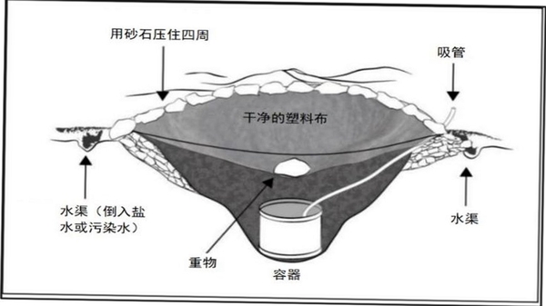 未知岛屿生存 淡水 获取方法