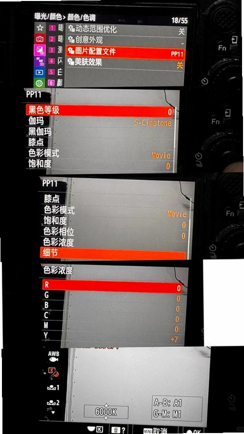 撕拉片相机运行截图