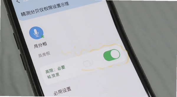 精测分贝仪权限设置示意图,手机屏幕显示应用权限管理页面,高亮麦克风权限开关,背景为浅灰色,图标简洁,突出安装后必要设置步骤