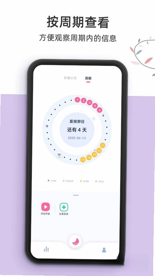 柠檬小月运行截图