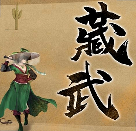 藏武运行截图