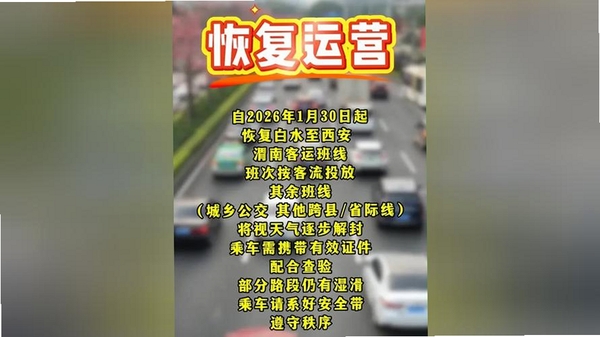 渭南青年网运行截图