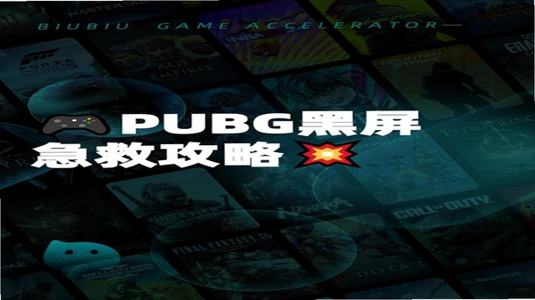 惩罚者无限币典藏版 闪退 黑屏 解决方法