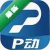 P��ͼ��
