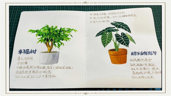 植物君 养护提醒 功能展示