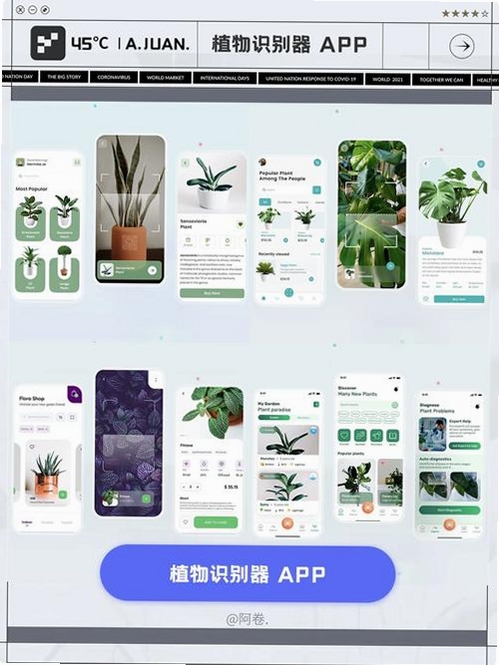 植物君运行截图