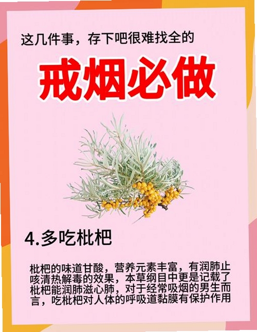 轻快戒烟运行截图