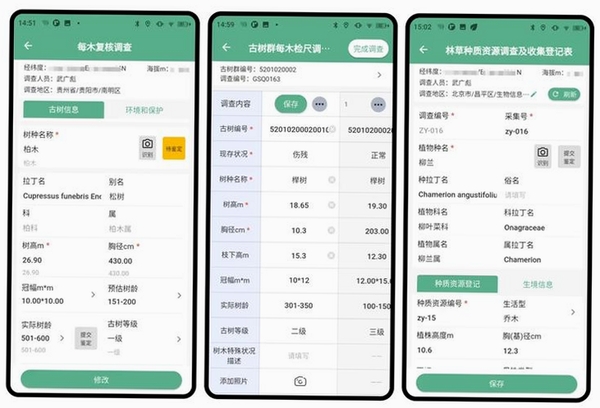 树测公考运行截图